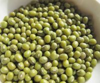 Fresh and Dried Green Mung Beans for Sale