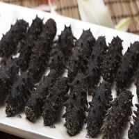 Best Quality Dry Sea Cucumber