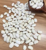 Kidney White Beans for Canned Food