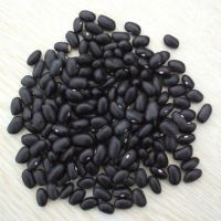 100% Natural Black Kidney Bean Wholesale Price Dried Kidney Bean