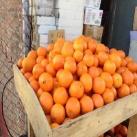 FRESH CITRUS ORANGES FOR SALE