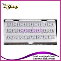 Synthetic Flare Lashes