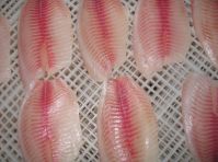 PROCESSING AND SELLING FROZEN TILAPIA FILLETS (FARMED)