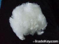 Sell Raw optic super bright white semi dull polyester staple fiber fibre PSF man-made synthic chemical fiber fibre PSF, virign recycle regenerate semi virgin polyester staple fiber fibre PSF man-made synthic chemical fiber fibre PSF