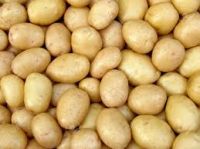 fresh Potato For Sale