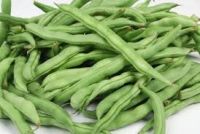 Fresh green beans for sale