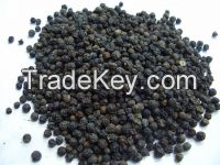 High quality Black Pepper Export