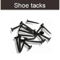 Shoe tacks shoe nails