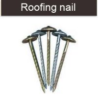 Umbrella head Roofing nail