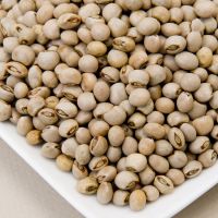 Quality Dry Pigeon Peas  /Toor Dal  COMPETITIVE PRICE AND QUALITY