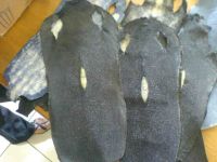 Wet And Dry Salted Stingray Skins BEST PRICES