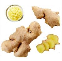 2016 new good quality air dried ginger