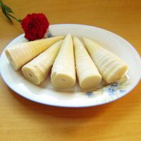 Good quality canned bamboo shoot