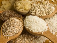 Cereals:  Wheat Grits, Pearl barley, Peeled barley, Bulgur, Cous Cous, Lentils, Rice, Millet, Peas, Buckwheat, Semolina, Flakes (wheat, oat, peas, buckwheat)