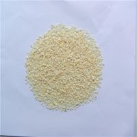 Dehydrated garlic power & granule