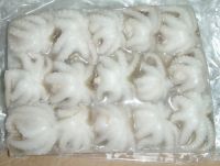 frozen octopus for sale, seafood octopus, baby octopus