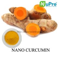 nano curcumin extract