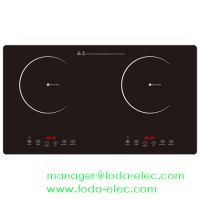 Induction Cooker