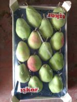 Sell Santa Maria pears