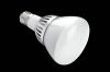 Popular LED bulb