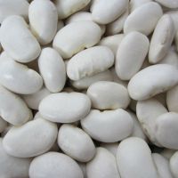 HIGH QUALITY WHITE KIDNEY BEANS