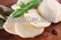 Venta de queso mozzarella /Sale of mozzarella cheese