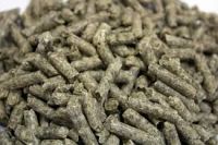 100% Sugar Beet Pulp Pellets for Sale