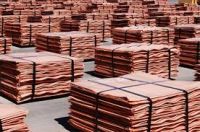 Copper Cathodes for Sale