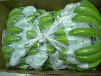 Fresh Green Cavendish Banana for Sale