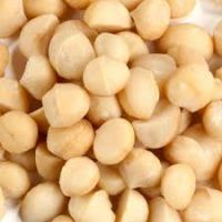 Raw and Roasted Macadamia Nuts...