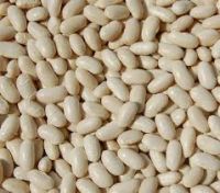 white kidney beans