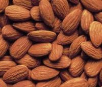 Raw Natural Almond Nuts for Sale