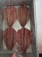 Sell Sea Frozen Pacific Mackerel Butterfly / Freshwater Butterflyfish / African Butterflyfish / Butterfly Fish Fillet