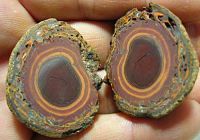 BOULDER MATRIX OPAL ROUGH - SPLIT & PAIRS