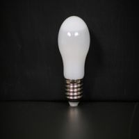 Sell Led Light Bulb 6W/8W