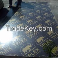 yelintong finger joint core film faced plywood two times hot pressing