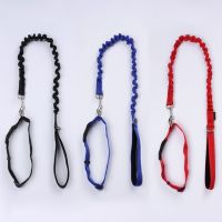 Dog Safety Elasticity Leash Rope and Collar set