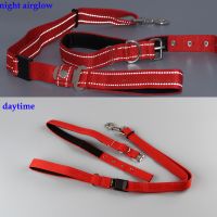 Dog Leash Rope and Collar sets with Nylon Reflective