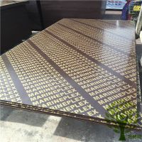 Shandong film faced plywood for export