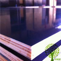 Strong Film faced plywood for sport floor