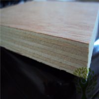 Okoume commercial plywood manufacture