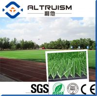 Good Drainage Reclaimed Certificate Approved Football Grass