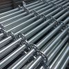 Galvanized Standard for Ringlock System Scaffolding