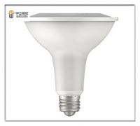 PAR38 13W LED Spot Lamp