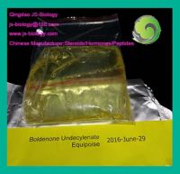 Methandienone/Dianabol/Oxandrolone/Anavar/Methenolone/Letrozole/Winstrol /Exemestane/Durabolin/Exemestane  for Sale