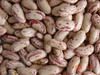 Sell light speckled kidney beans