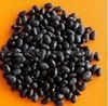 Sell black kidney beans