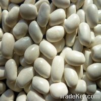 Sell white kidney beans