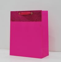 newest custom paper bags CMYK paper bag lovely fashional strong paper gift /shopping bags