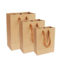 newest custom paper bags CMYK paper bag lovely fashional strong paper gift /shopping bags